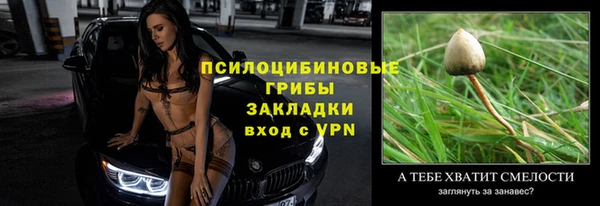 гидра Краснослободск