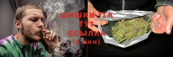 гидра Краснослободск