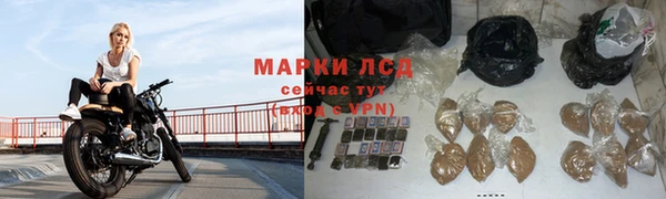 мяу мяу мука Костерёво