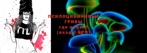 шишки Краснотурьинск