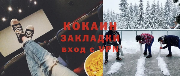 гидра Краснослободск