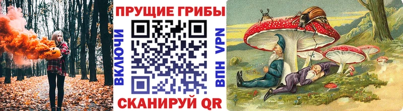Псилоцибиновые грибы мухоморы  Старый Крым 